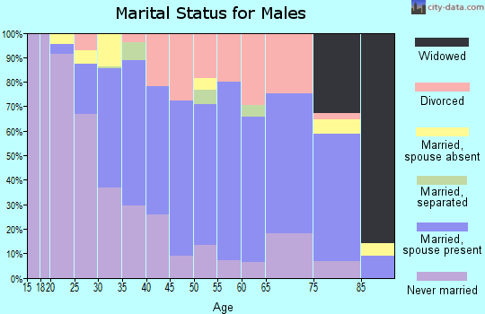 Zip code 13350 marital status for males