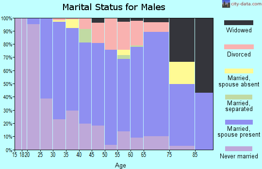 Zip code 13357 marital status for males