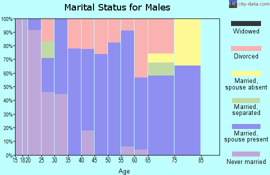 Zip code 13361 marital status for males