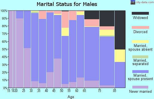 Zip code 13367 marital status for males