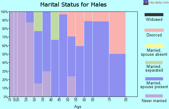 Zip code 13402 marital status for males