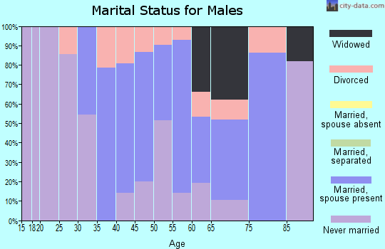 Zip code 13406 marital status for males