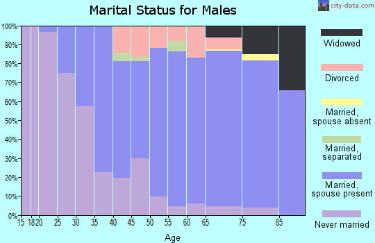 Zip code 13407 marital status for males