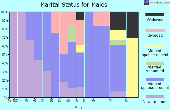 Zip code 13408 marital status for males