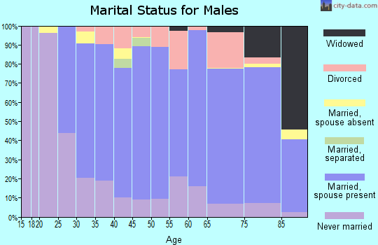 Zip code 13413 marital status for males