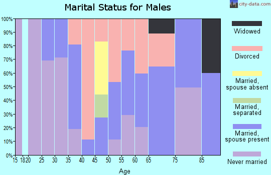Zip code 13417 marital status for males