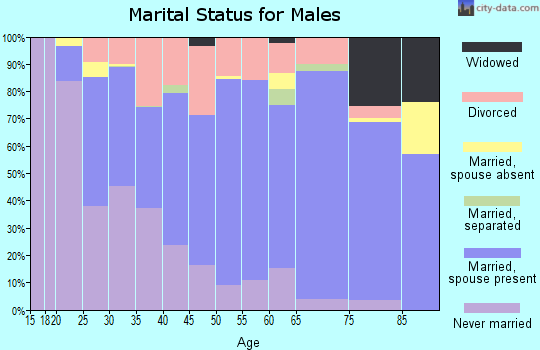 Zip code 13421 marital status for males