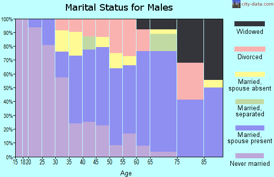 Zip code 13424 marital status for males