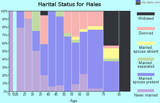 Zip code 13428 marital status for males