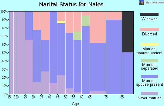 Zip code 13433 marital status for males