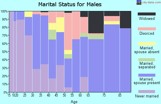 Zip code 13439 marital status for males