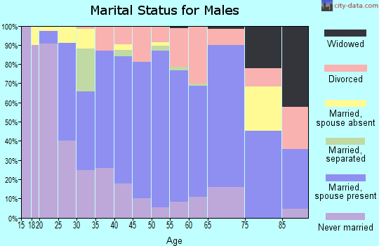 Zip code 13452 marital status for males