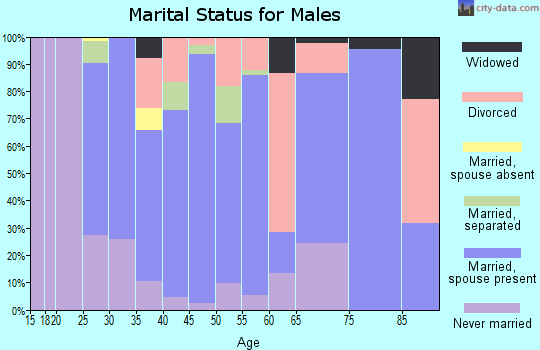 Zip code 13460 marital status for males