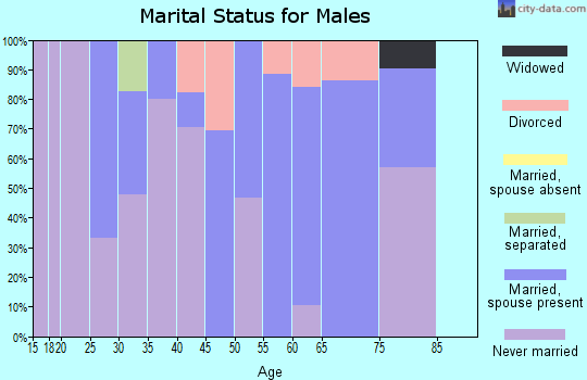 Zip code 13470 marital status for males
