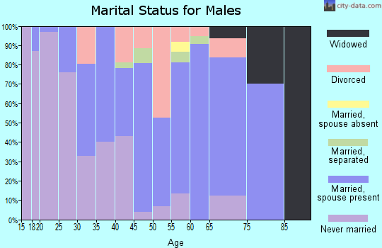 Zip code 13471 marital status for males