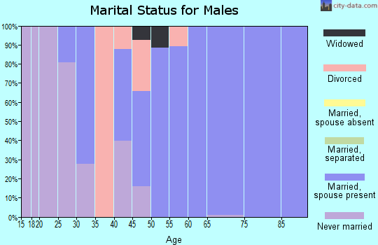Zip code 13478 marital status for males