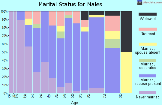 Zip code 13480 marital status for males
