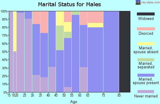 Zip code 13485 marital status for males