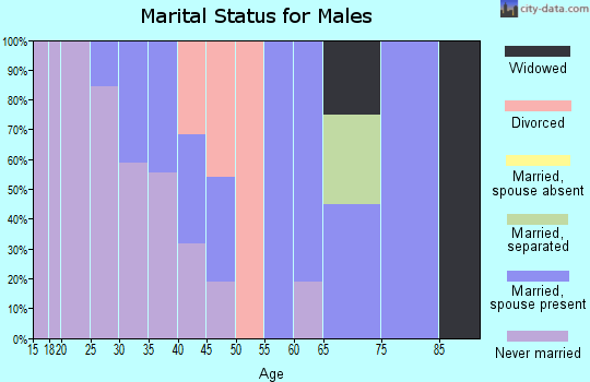 Zip code 13486 marital status for males