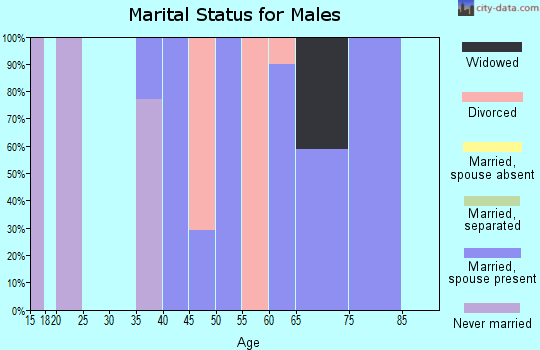 Zip code 13490 marital status for males