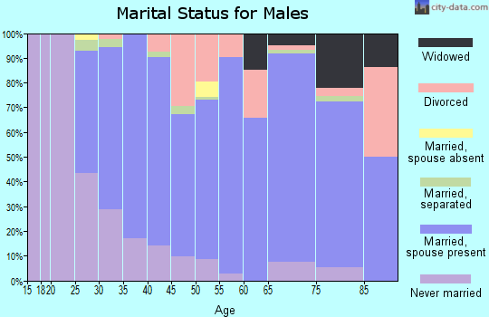 Zip code 13491 marital status for males