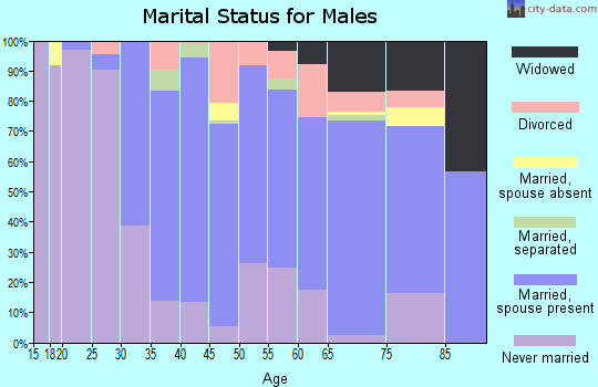 Zip code 13492 marital status for males