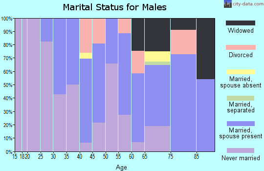 Zip code 13495 marital status for males