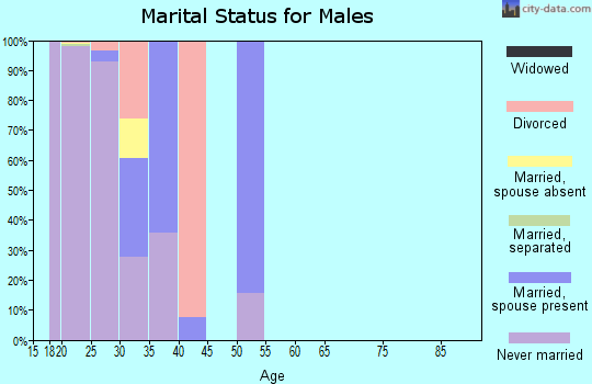 Zip code 13602 marital status for males