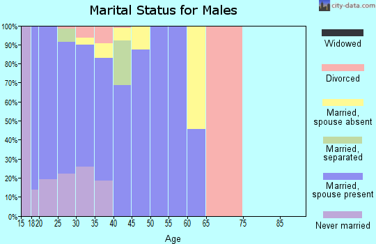 Zip code 13603 marital status for males