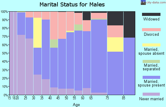 Zip code 13605 marital status for males