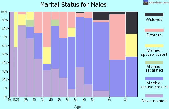 Zip code 13607 marital status for males