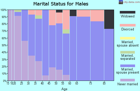 Zip code 13608 marital status for males