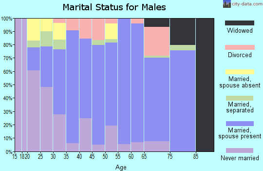 Zip code 13612 marital status for males