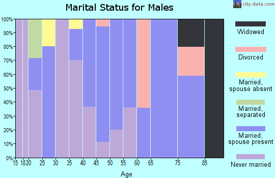Zip code 13615 marital status for males