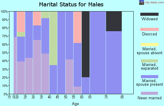 Zip code 13616 marital status for males