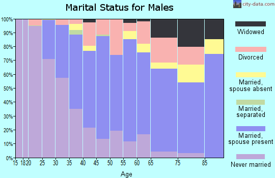Zip code 13617 marital status for males