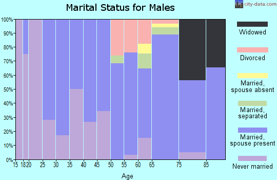 Zip code 13618 marital status for males