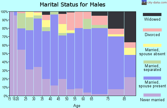 Zip code 13619 marital status for males