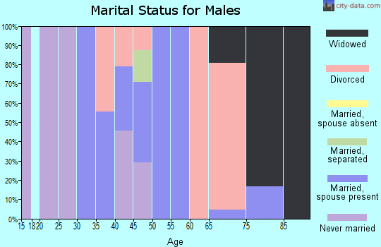 Zip code 13621 marital status for males