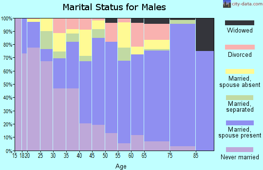Zip code 13624 marital status for males