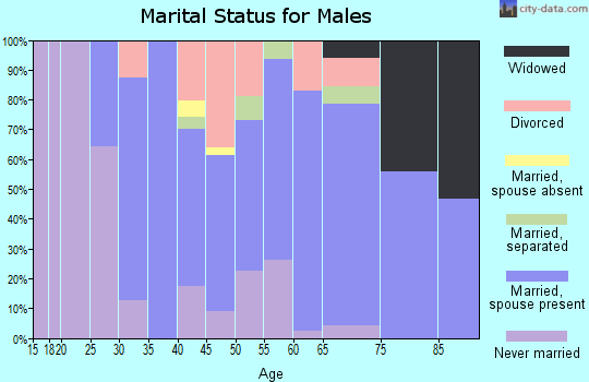 Zip code 13625 marital status for males