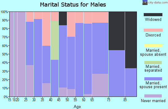 Zip code 13630 marital status for males