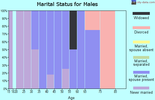 Zip code 13633 marital status for males