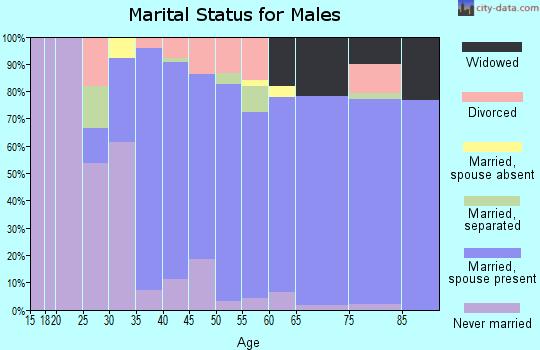 Zip code 13634 marital status for males