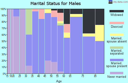 Zip code 13635 marital status for males