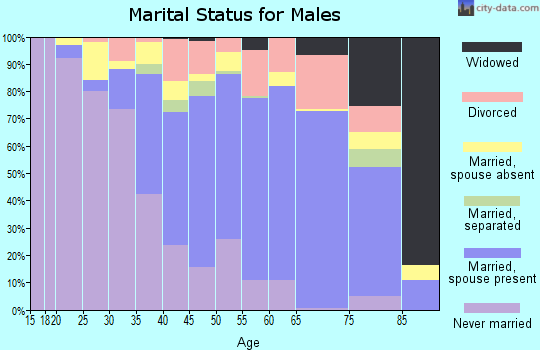 Zip code 13642 marital status for males