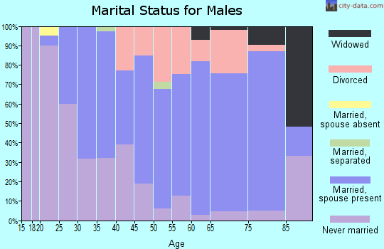 Zip code 13646 marital status for males