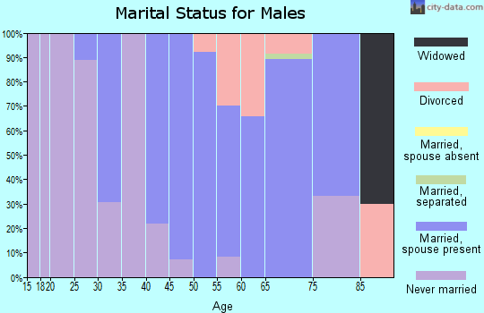 Zip code 13650 marital status for males