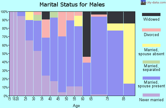 Zip code 13652 marital status for males