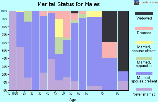Zip code 13654 marital status for males